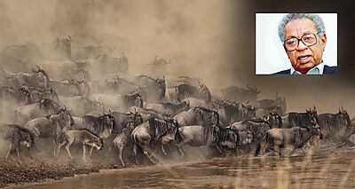  Seasons of Migration, Tayeb Salih (inset)