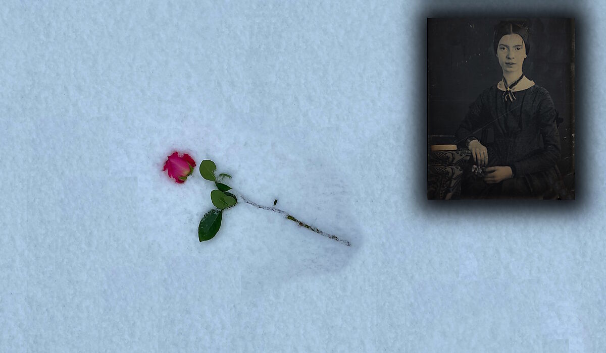 A Fallen Rose; Emily Dickinson c 1847 (inset)