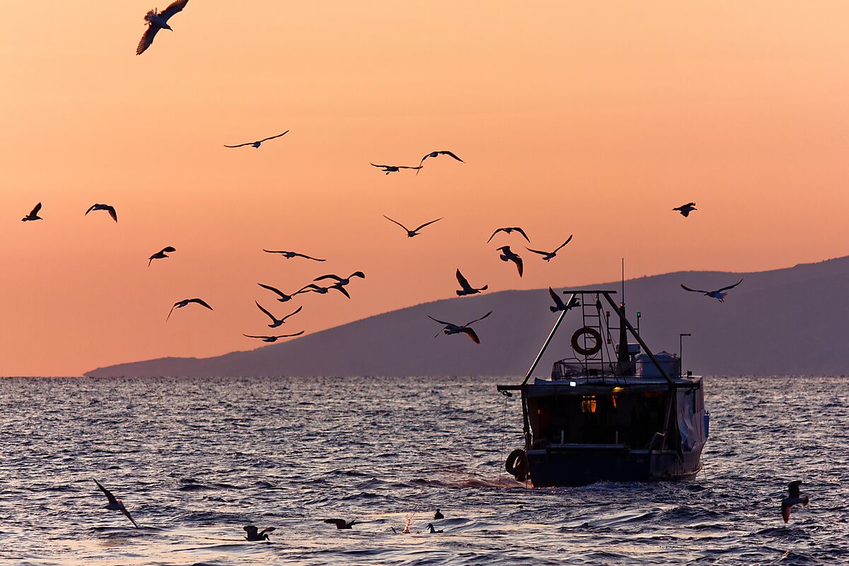 Fishing Trawler at Dawn