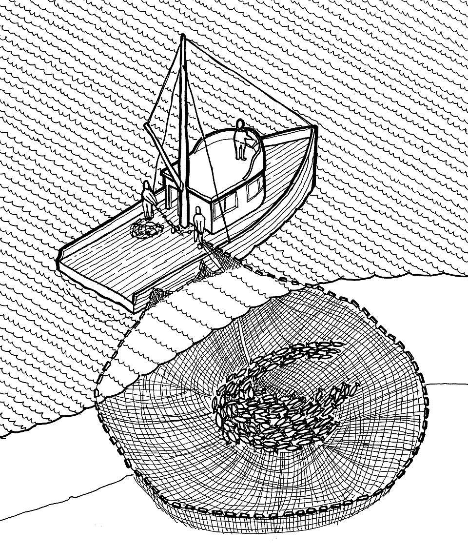 Annotated diagram of a purse seine (see figure 2 for further... | Download  Scientific Diagram