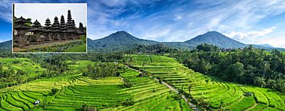 Subak, Bali, Indonesia