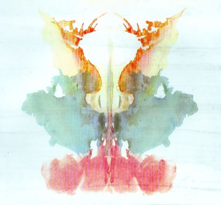 The 9th blot of the Rorschach inkblot test