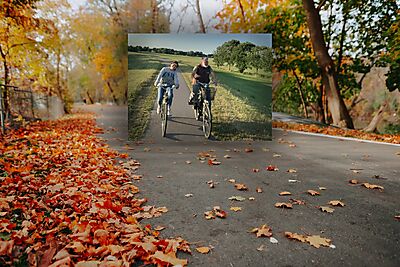The Colours of Autumn