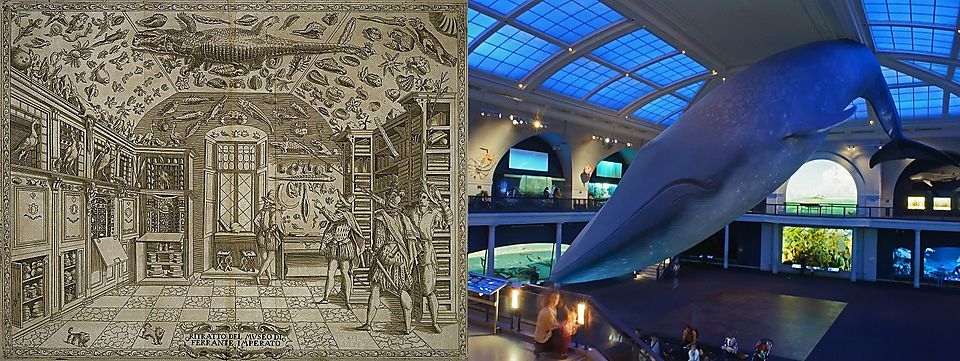 The Origins of Museums