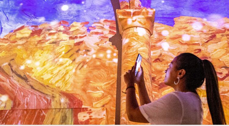 Van Gogh the Immersive Experience