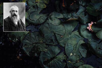 Water Lillies & Claude Monet (inset)