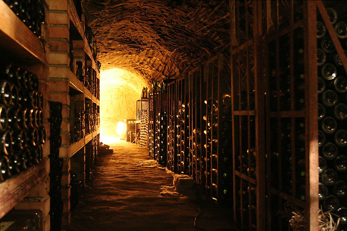 Wine cellar in Chvalovice near Znojmo.